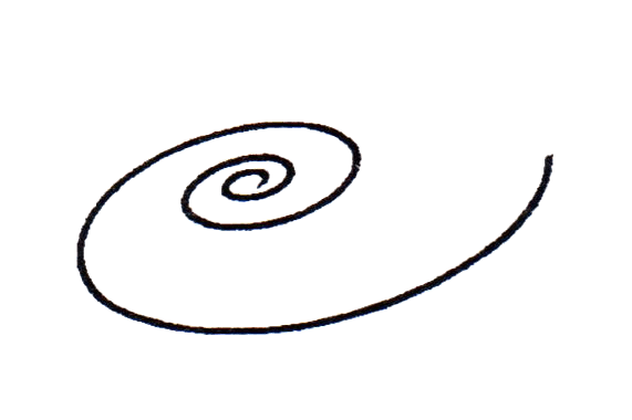 Disegno di spirale